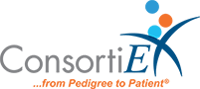 ConsortiEX